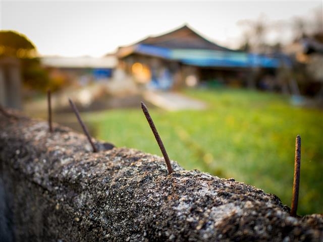 2019년 전북 삼례