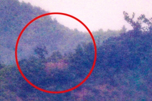 김정은 “군사행동 계획 보류” 통일부 “北 확성기 모두 철거”