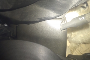 승용차 안에서  1년이상 길러진 강아지… 경찰 동물학대 법리검토