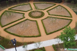 안양시, 학운공원 녹지대에 무궁화 등 약 6000그루 식재