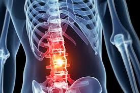 인체 중심 척추 속 척수손상 회복시키는 치료제 개발