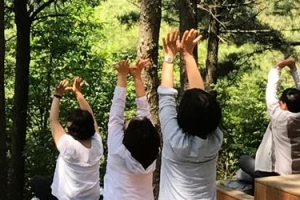 10년째 결론 못내는 서울대  ‘관악수목원 무상양도’ 문제…“최대 피해자 시민”