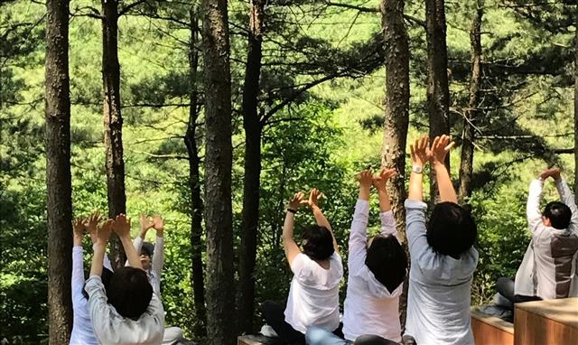 2017년 안양시 공무원을 대상으로 시범 운영한 서울대관악수목원 비공개 숲길 ‘안양형산림치유프로그램’. 안양시는 매년 서울대와 협약을 통해 제한적으로 관악수목원을 이용하고 있다. 안양시제공 2017년 안양시 공무원을 대상으로 시범 운영한 서울대관악수목원 비공개 숲길 ‘안양형산림치유프로그램’. 안양시는 매년 서울대와 협약을 통해 제한적으로 관악수목원을 이용하고 있다. 안양시제공