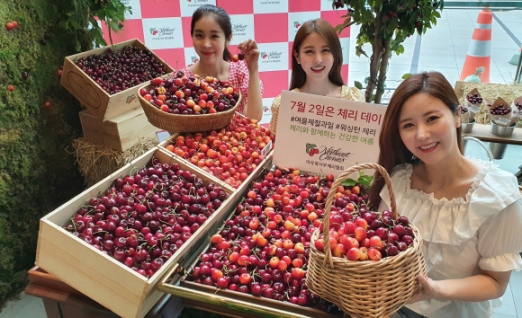 [서울포토]‘체리와 함께하는 건강한 여름’