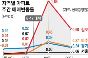 신축 대단지 “한달 새 1억은 우습게 올라” 외곽 지역 “10년 전 분양가 회복 안 돼”