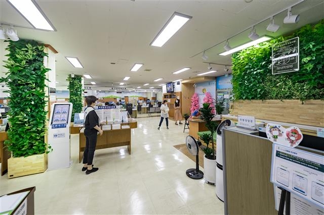 그린힐링 오피스 조성사업의 하나로 공기정화식물이 설치된 광진구청 민원여권과 민원실. 광진구 제공