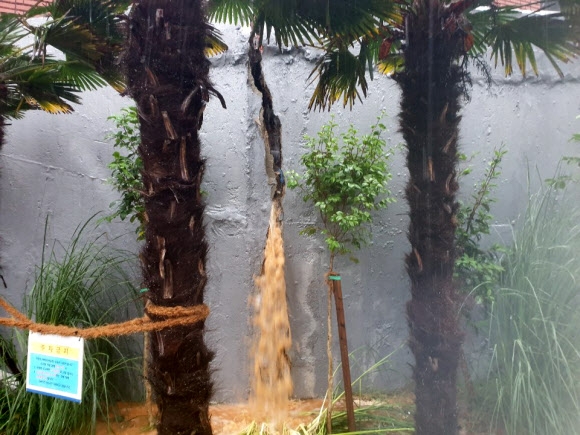 [포토] 빗물이 터져 나올 듯한 담벼락