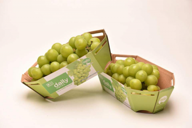 경북 우수 농식품 브랜드인 ‘데일리(daily)’ 이름을 단 샤인머스켓의 모습. 경북도 제공
