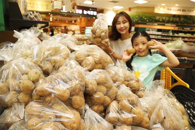 이마트가 오는 16일부터 일주일간 올해 첫 수확한 ‘햇 수미감자’를 판매하는 가운데 13일 서울 이마트 성수점에서 모델들이 감자를 들고 포즈를 취하고 있다. 이 감자는 지난달 이마트 감자 평균 판매가격과 비교해 3분의1 수준으로 저렴하다. 뉴스1