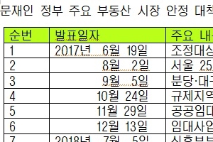 [단독] 부동산 일방통행 이유 있었나... 22번 대책中 12번 주정심 안거쳐