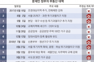 [단독] 부동산 일방통행 이유 있었나… 22번 대책 중 12번 ‘주정심 패싱’