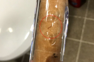 인천 수돗물 유충 확산일로… 강화·부평·계양서도 신고