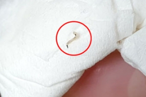 인천 수돗물서 유충 계속 나와…강화에서도 1곳 확인