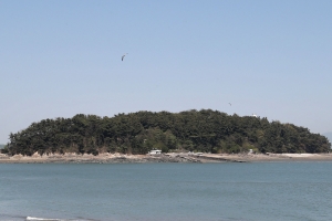 ‘물치도’라 불러다오 … 인천 작약도 일제 때 바뀐 이름 되찾아