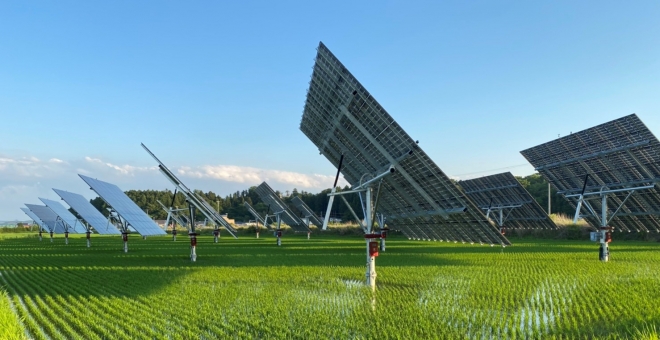 파루가 설치한 일본 토메의 400㎾ 영농형태양광 발전소 전경 