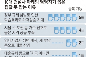 “‘대책 두 달 뒤엔 뛴다’ 공식… 규제 남발로 내성, 되레 집값 올려”