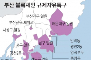 블록체인 특구라더니 암호화폐 금지… 서울로 유턴하는 스타트업