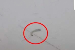 안양시 수돗물 깔따구 유충, 인근 산에서 유입