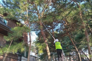 강북 ‘도시 숲’ 근로자 채용… 녹지·일자리 ‘일석이조’