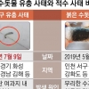 붉은 물 1년 후 또… ‘3無’ 바뀐 게 없다