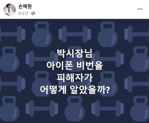 손혜원 전 열린민주당 의원 페이스북 캡처