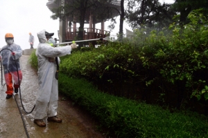 대벌레 방제활동