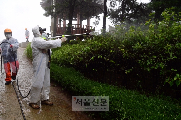 대벌레 방제활동