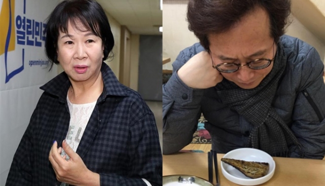 박원순 성추행 사건에 대해 의견을 밝힌 손혜원 전 의원, 황교익 칼럼니스트. 뉴스1, 페이스북