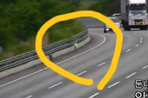 대형견 영동고속도로 한복판에 출현…화들짝 놀란 운전자들