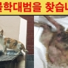 가스 토치로 지진 듯…길고양이, 뱃속 새끼와 함께 숨져