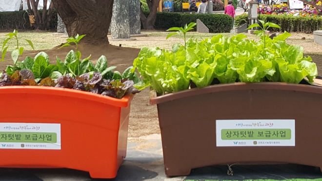과천화훼축제가 취소되면서 과천시가 시민 250여명에게 나눠줄 텃밭상자. 과천시 제공 