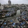 세계 최초 집단면역 사례? 인도 뭄바이 빈민가 항체보유율 57%