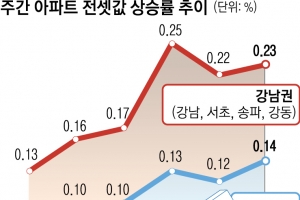 임대차 2법 ‘3대 과제’…①4년마다 전셋값 급등 ②강남북 가격 양극화 ③물량 부족