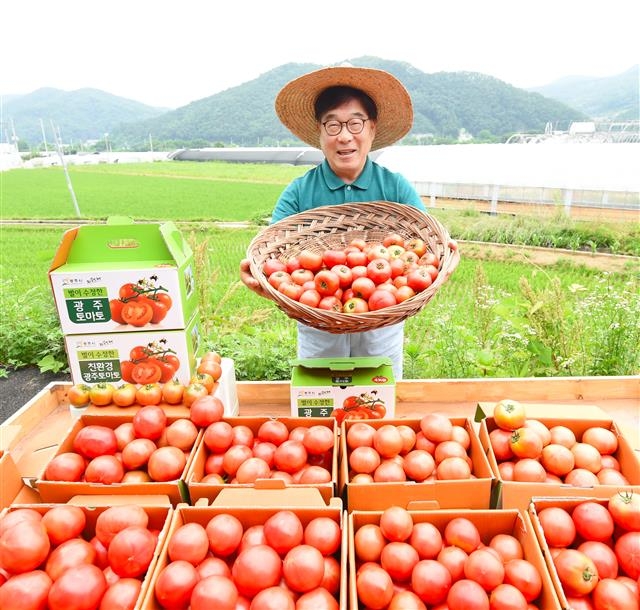 신동헌 경기 광주시장이 지난달 퇴촌 토마토 세일즈에 직접 나서고 있다. 토마토 팔아주기 운동은 신 시장의 적극적인 동참으로 완판 대박을 일궈 농민들의 시름을 덜게 했다. 광주시 제공