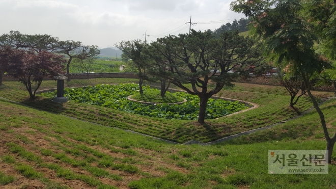 경기 시흥 관곡지 전경