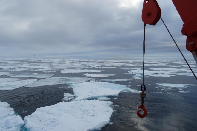 북극해에서 검출된 환경호르몬