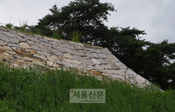 울산왜성(학성 또는 도산성)의 곡선형 성은 가토 기요마사가 급히 방어용으로 축성했다.  오장환 기자 5zzang@seoul.co.kr