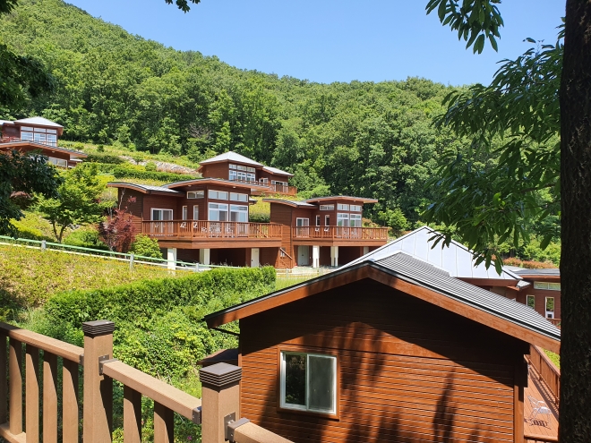 사진은 제암산자연휴양림