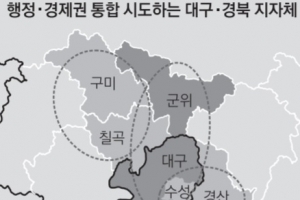 뭉쳐야 함께 산다… 대구·경북 ‘행정·경제 통합’ 열기