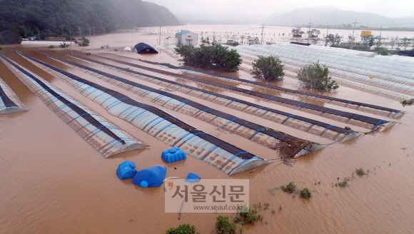 6일 경기도 연천시 진상1리 인근 농경지가 침수돼 있다. 2020.8.6. 박지환 기자 popocar@seoul.co.kr