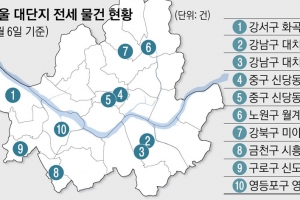 3중 쇼크  전세 패닉