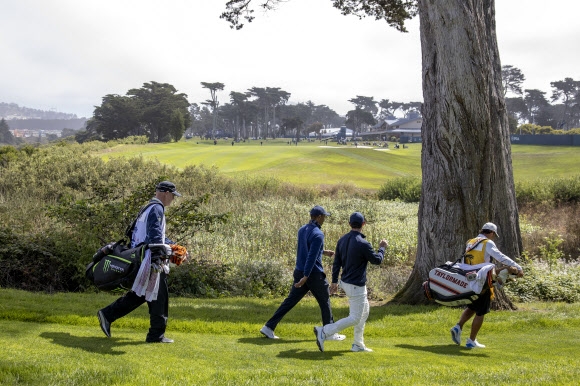 타이거 우즈와 로리 매킬롱(오른쪽 두 번째)가 7일 미국 샌프란시스코의 TPC 하딩파크(파70)에서 열린 제102회 PGA 챔피언십 1라운드 18번홀에서 티샷한 뒤 아름드리 나무가 버티고 있는 페이웨이를 걸어가고 있다.[UPI 연합뉴스]