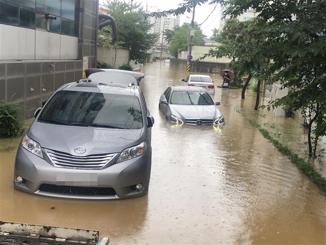 폭우에 침수된 차량들