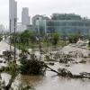 “나무 쓰러지고 지반 무너지고”...폭우로 서울 곳곳에 사고 잇따라