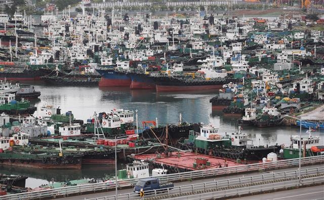 태풍 ‘장미’ 북상...부산항으로 피항한 선박