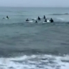 “해도 너무하네” 태풍 장미…서핑 즐긴 6명 적발