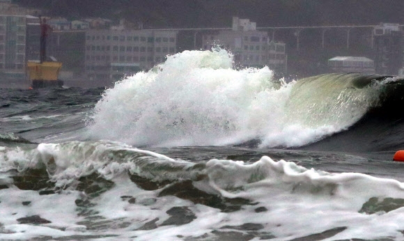 태풍 장미가 상륙한 지난 10일 오후 부산 해운대해수욕장에 높은 파도가 일고 있다. 2020.8.10  연합뉴스