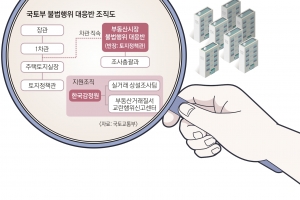 투기·집값 잡을 묘수냐 시장개입 역풍 악수냐