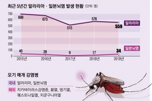 모기 ‘앵~’하면… 말라리아·일본뇌염 감염 위험지역 안 가고, 긴 옷 입어야 안심