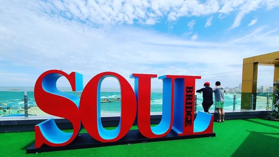 소울브릿지 루프탑에서 바라본 천진해변